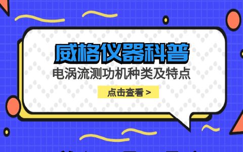 威格儀器-電渦流測功機種類(lèi)及特點(diǎn)插圖 威格儀器-電渦流測功機種類(lèi)及特點(diǎn)插圖